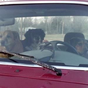 Meet your Posher, Ronald